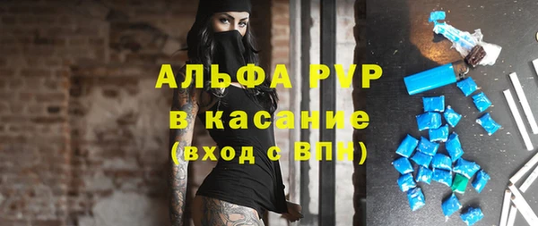 бошки Белокуриха