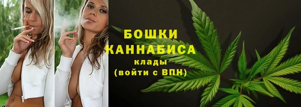 PSILOCYBIN Беломорск