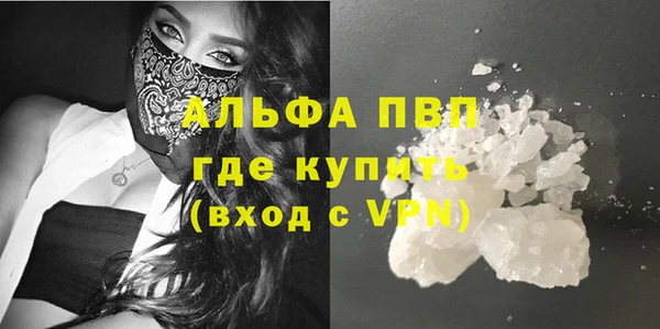 PSILOCYBIN Беломорск