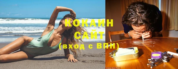 бошки Белокуриха