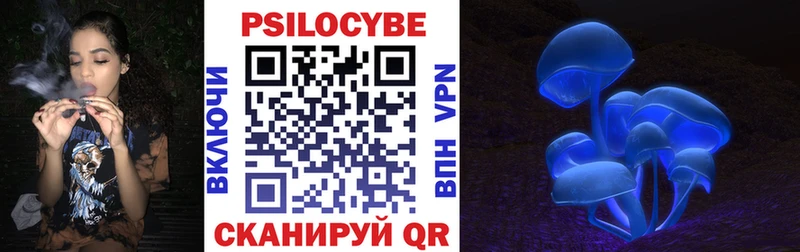 Купить где  Минеральные Воды  Псилоцибиновые грибы мицелий 