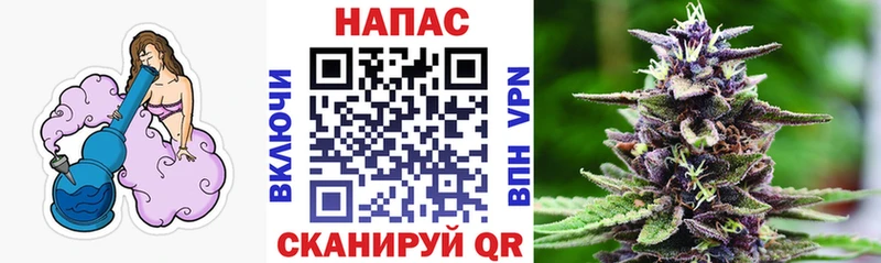 Купить где  Минеральные Воды  Шишки марихуана Ganja 